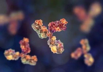 Clear and Easy Flowing: Analyzing Antibody Self-Interactions